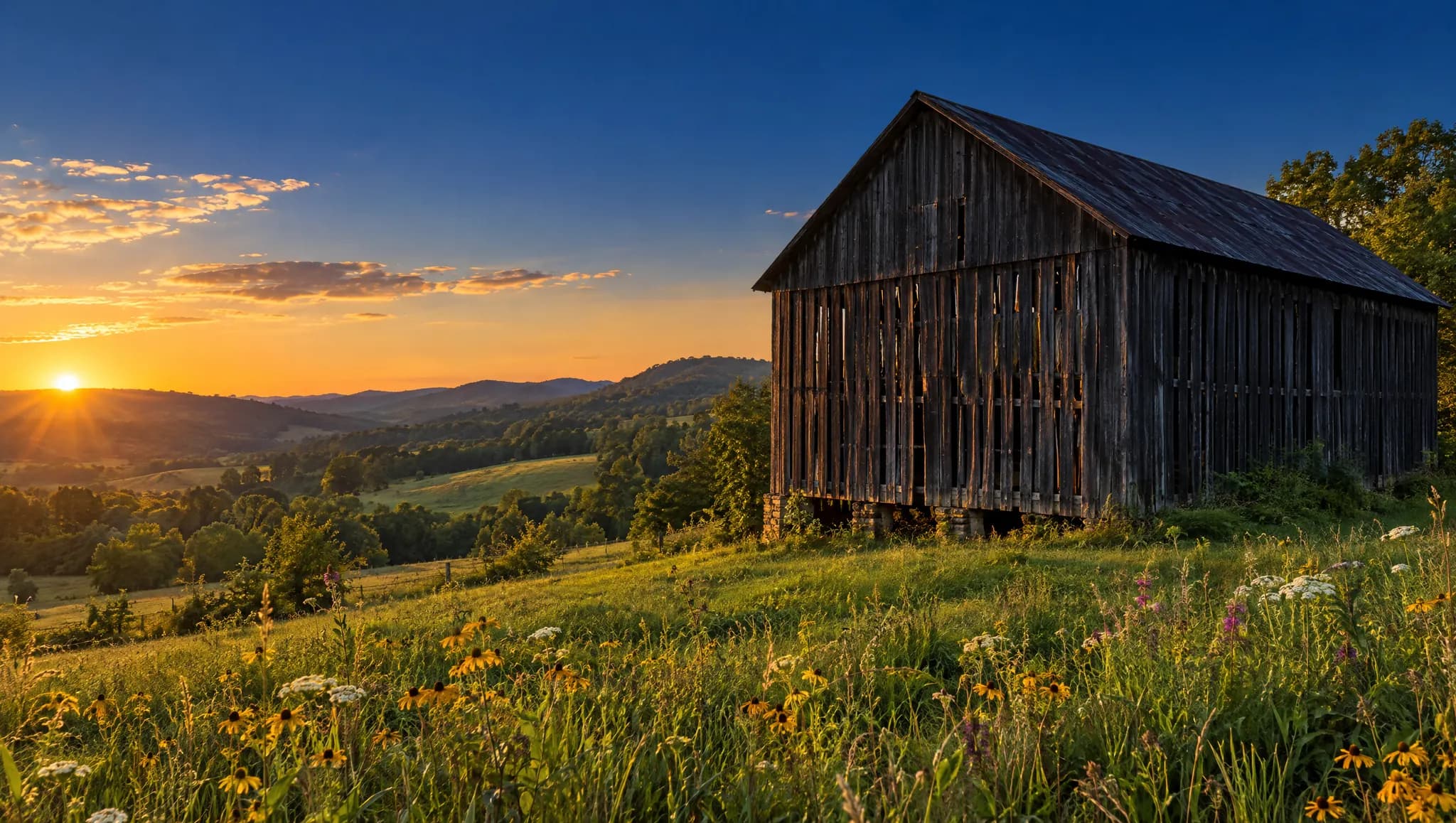 A weathered wooden tobacco barn in a green Kentucky field at golden hour