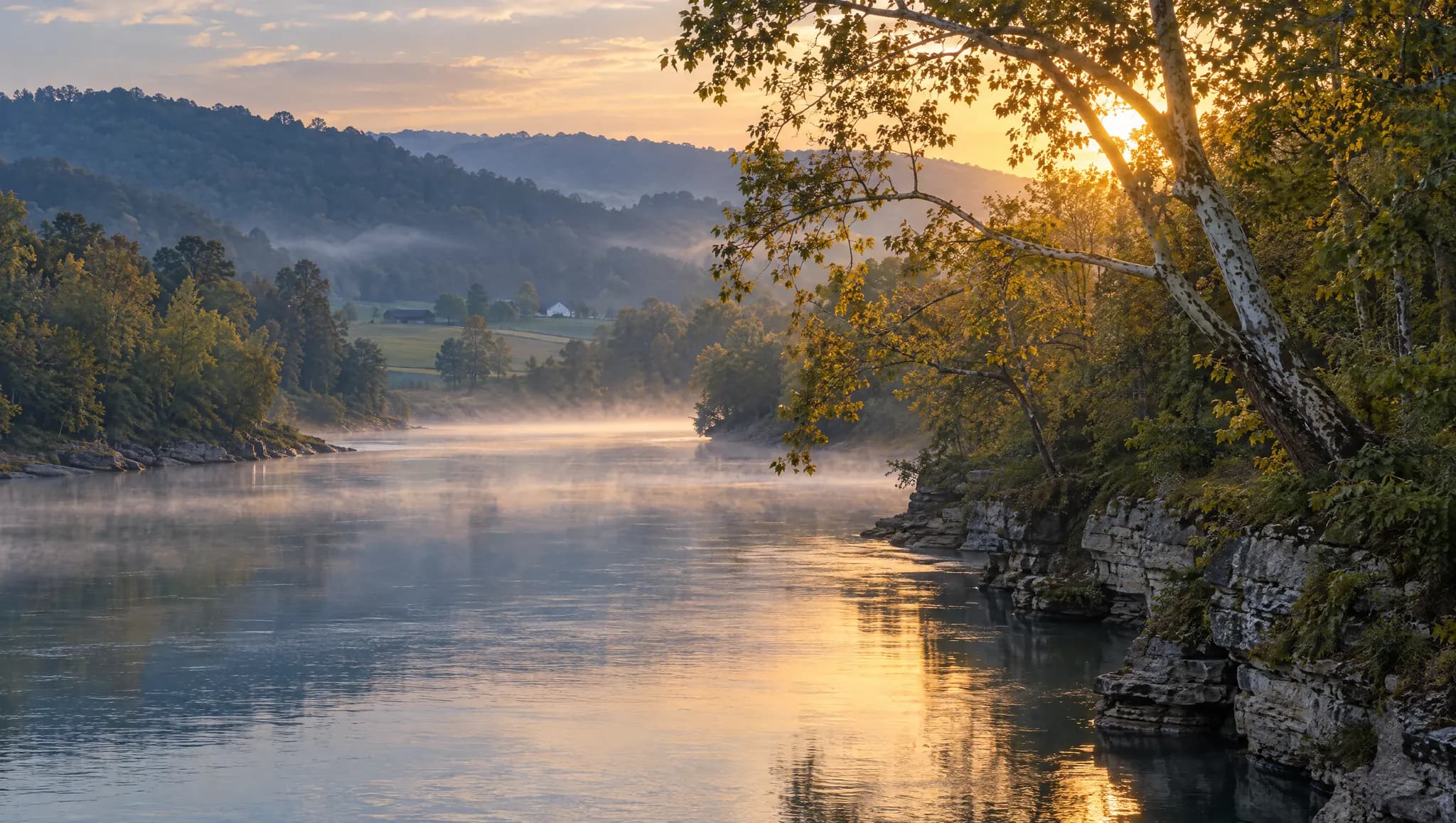 A misty river with sycamore trees and limestone banks at dawn